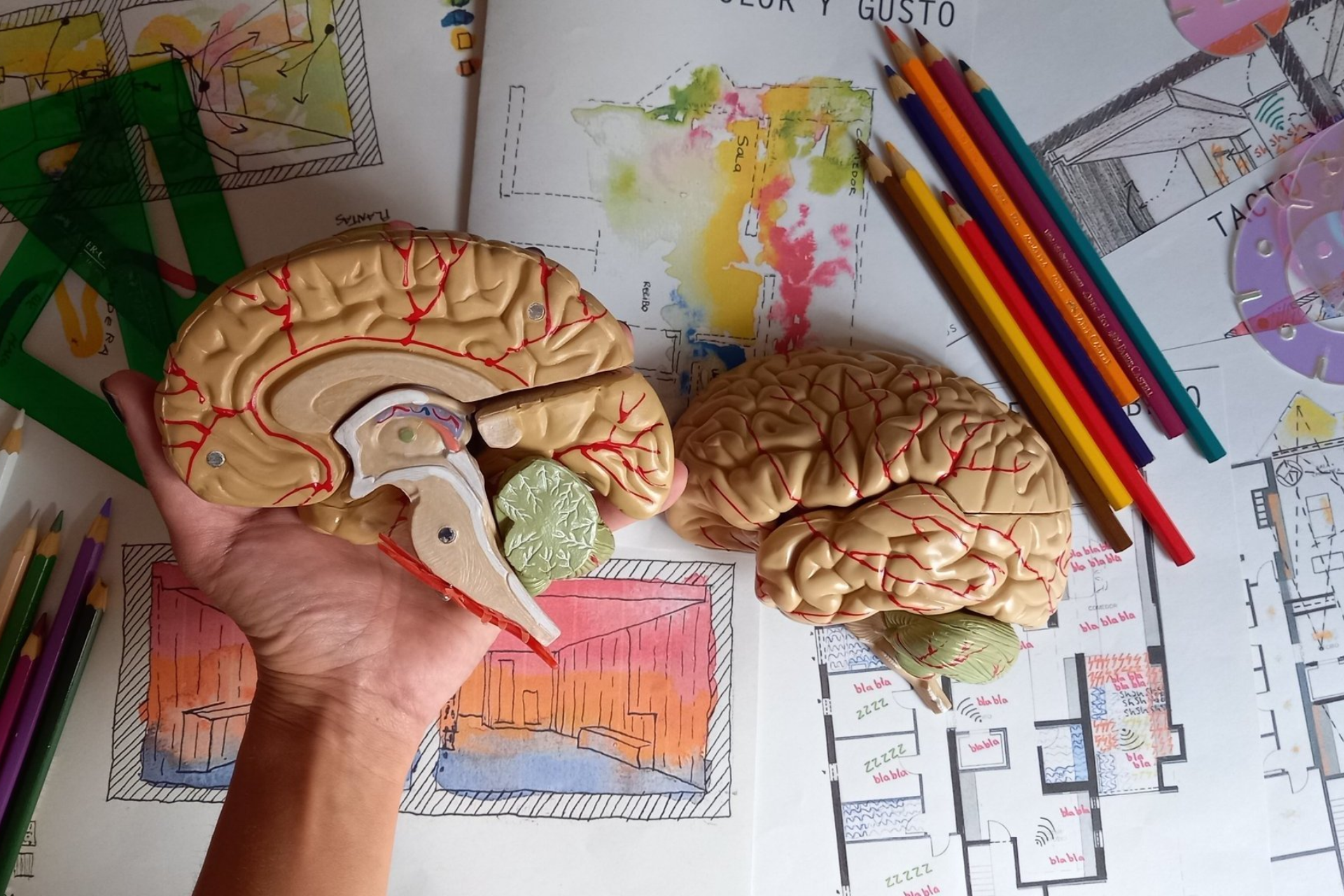 Neuroarquitectura: Diseñando espacios para la mente